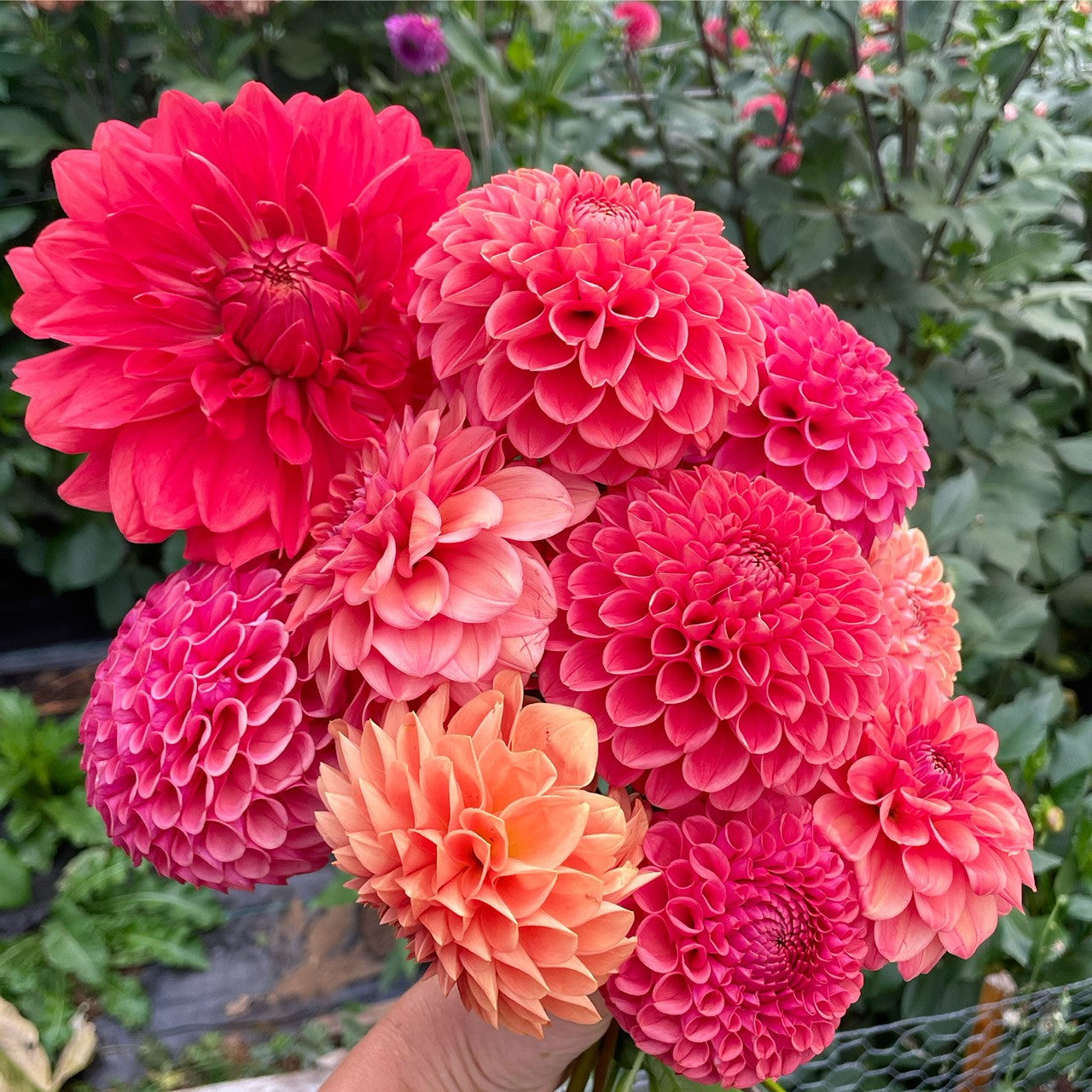 Country Road Flowers   Bouquet 