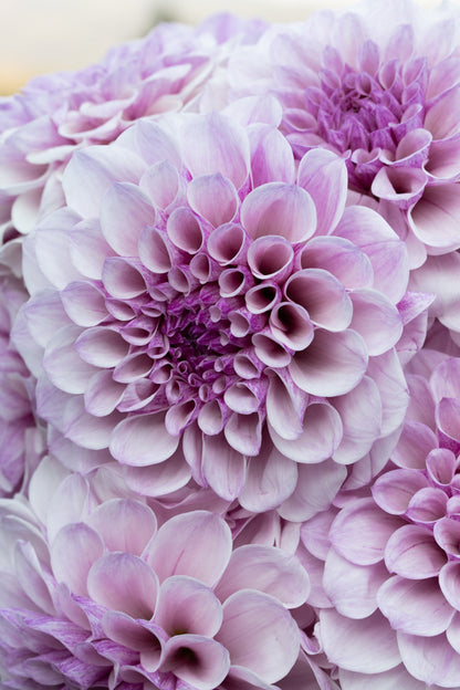 Jeff Bloom - Cutting - 90